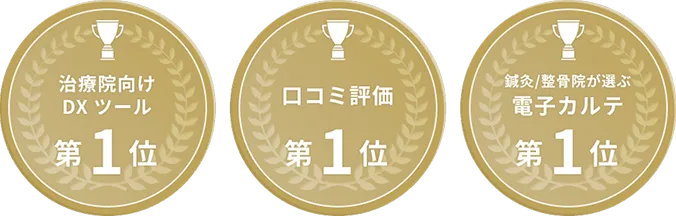 治療院向けDXツール 第1位・口コミ評価 第1位・鍼灸/整骨院が選ぶ電子カルテ 第1位